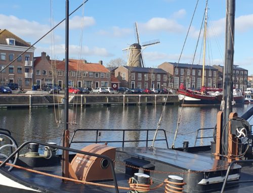 Schüleraustausch in die Niederlande – „Biodiversity and Bees“