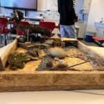 Mensagarten; SdZ; BAK; Workshop